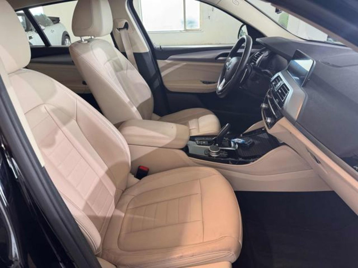 BMW X4 xDrive20i xLine (9)
