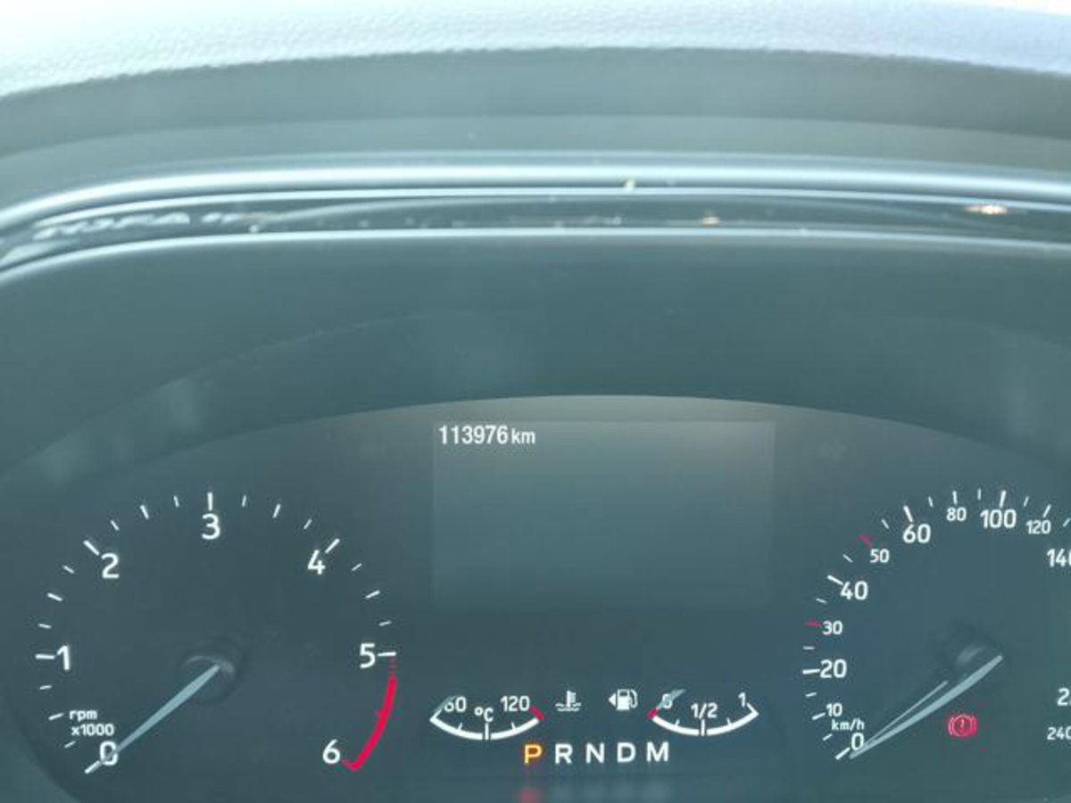 Ford Focus 2.0 EcoBlue 150 CV automatico 5p. ST-Line X Co-Pilot (4)
