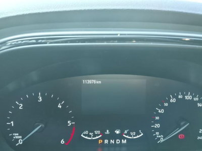 Ford Focus 2.0 EcoBlue 150 CV automatico 5p. ST-Line X Co-Pilot (4)
