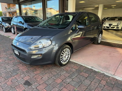 Fiat Punto 1.2 8V 5 porte Street usata