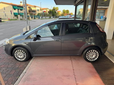 Fiat Punto 1.2 8V 5 porte Street (14)