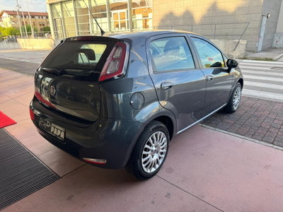 Fiat Punto 1.2 8V 5 porte Street (3)