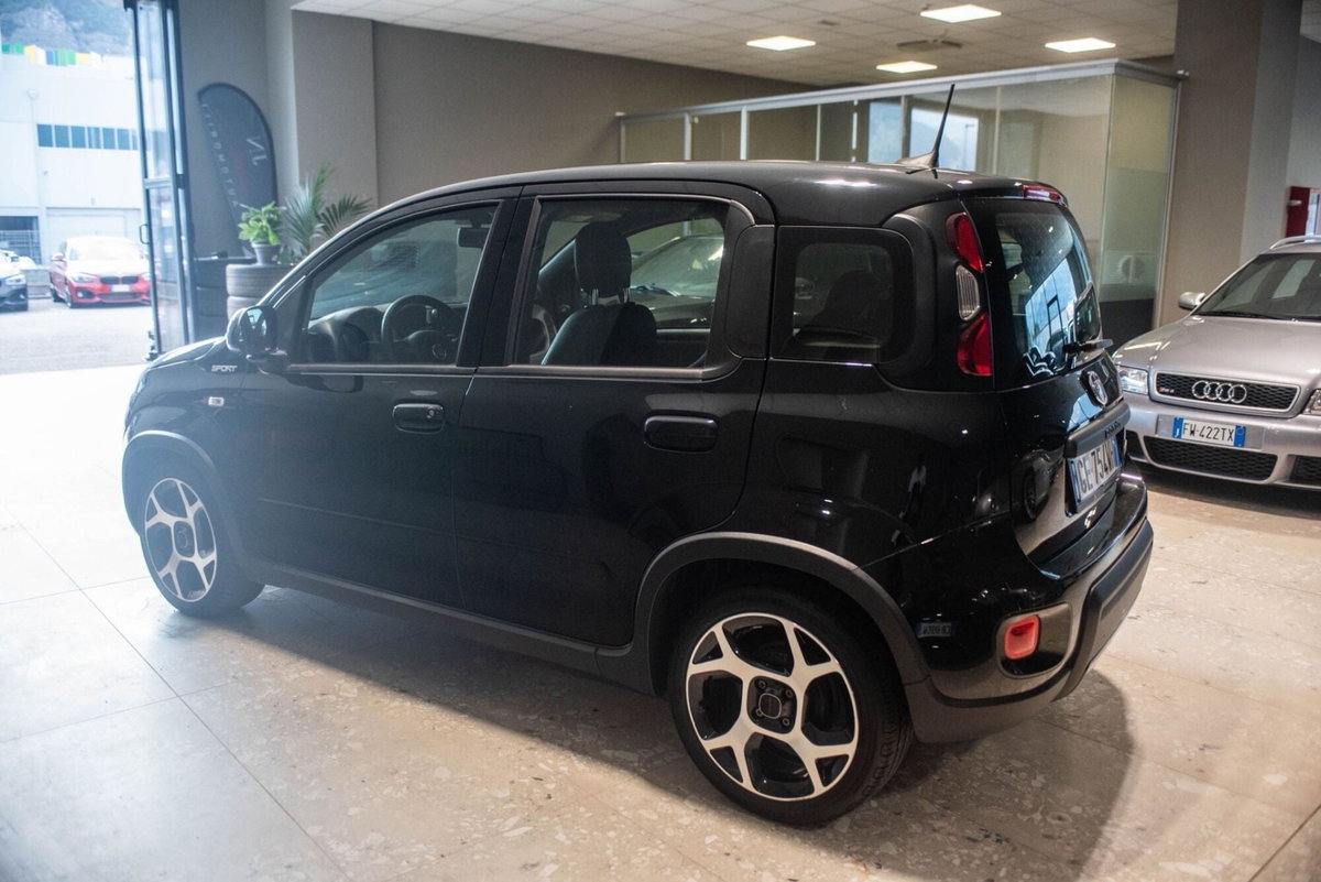 Fiat Panda Cross Cross 1.0 FireFly S&S Hybrid (2)