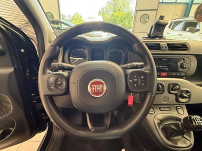 Fiat Panda Cross 1.0 firefly hybrid Cross s&s 70cv 5p.ti (10)