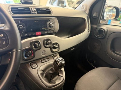 Fiat Panda Cross 1.0 firefly hybrid Cross s&s 70cv 5p.ti (12)