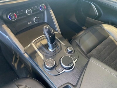 Alfa Romeo Stelvio Stelvio 2.2 Turbodiesel 190 CV AT8 RWD Executive (17)