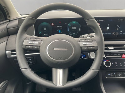 Hyundai Tucson 1.6 hev Exellence 2wd 239cv auto (14)