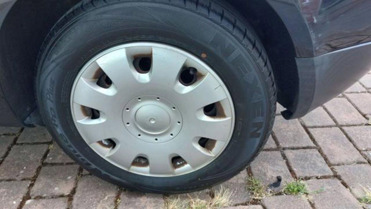 Volkswagen Golf 1.9 TDI 5p. Trendline (18)