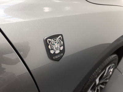 Tiger Six Six 1.5 177cv 7dct (17)