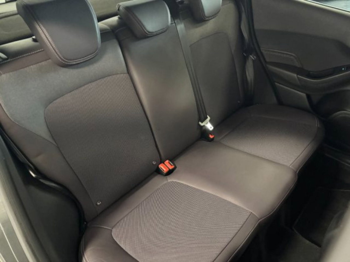 Ford Fiesta 1.5 TDCi 5 porte Vignale (13)