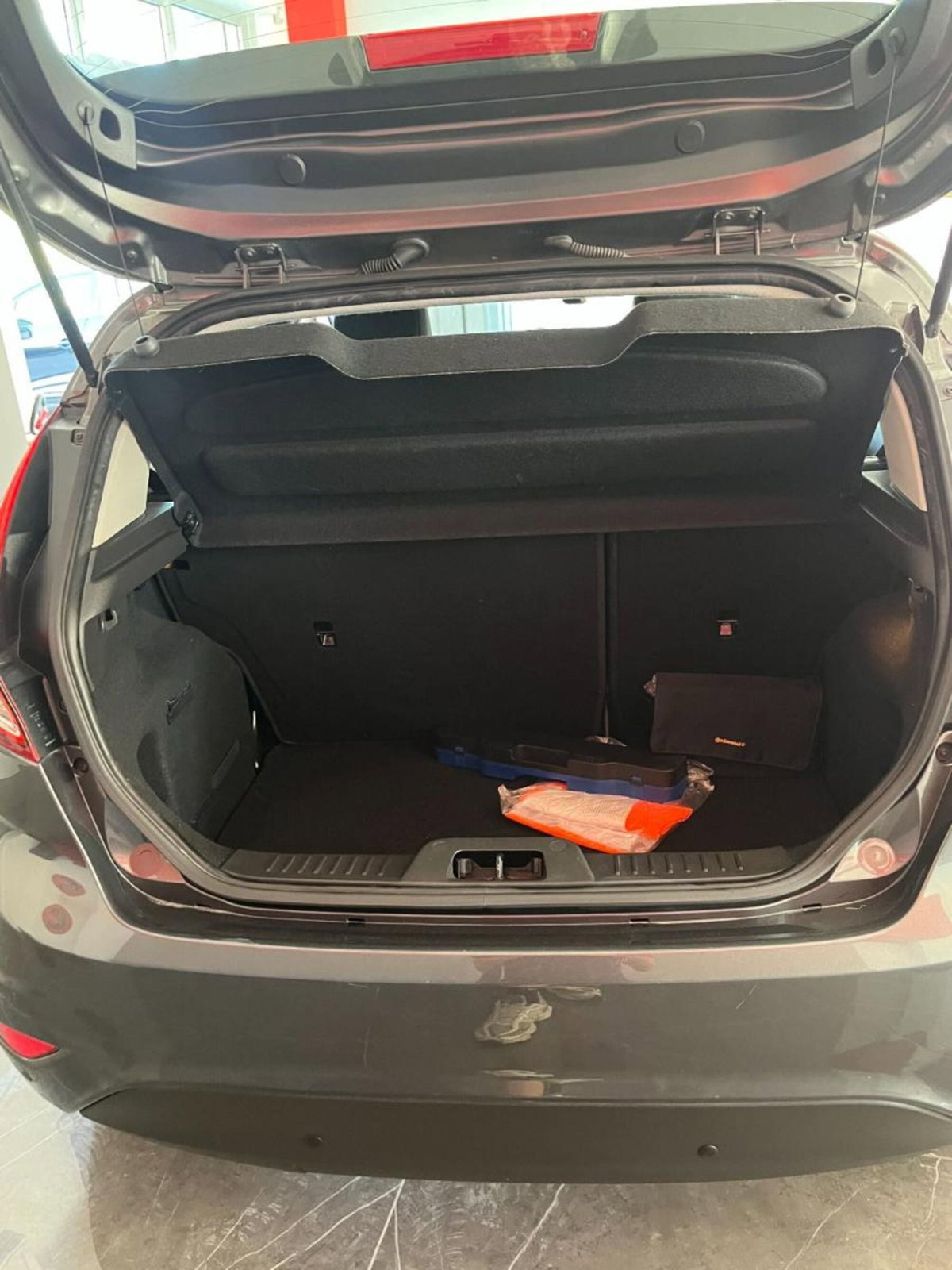 Ford Fiesta 1.4 5 porte Bz.- GPL Business N1 (10)