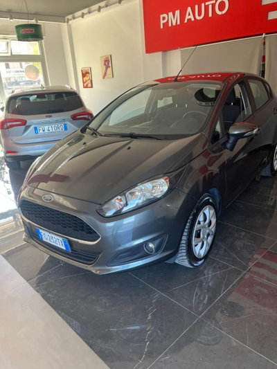 Ford Fiesta 1.4 5 porte Bz.- GPL Business N1 (6)