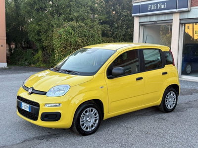 Fiat Panda 1.0 firefly hybrid Pop s&s 70cv usata