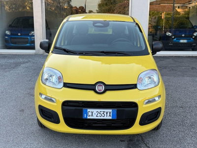 Fiat Panda 1.0 firefly hybrid Pop s&s 70cv (2)