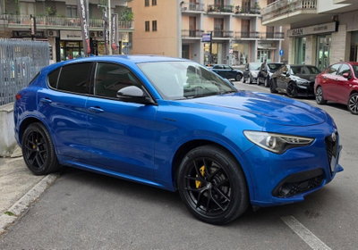 Alfa Romeo Stelvio Stelvio 2.2 Turbodiesel 210 CV AT8 Q4 Veloce Tì (6)