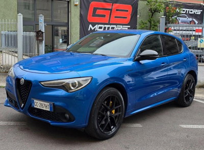 Alfa Romeo Stelvio Stelvio 2.2 Turbodiesel 210 CV AT8 Q4 Veloce Tì (8)