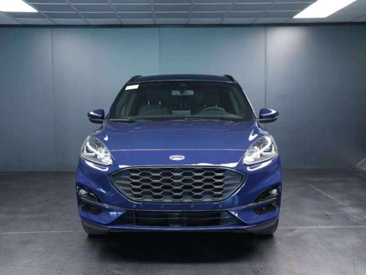 Ford Kuga 2.0 EcoBlue 120 CV aut. 2WD ST-Line X (2)