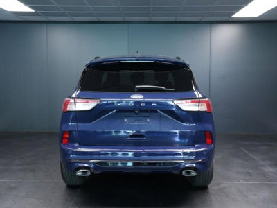 Ford Kuga 2.0 EcoBlue 120 CV aut. 2WD ST-Line X (3)