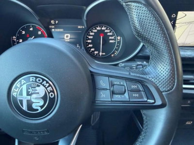 Alfa Romeo Stelvio Stelvio 2.2 Turbodiesel 160 CV AT8 RWD Business (17)