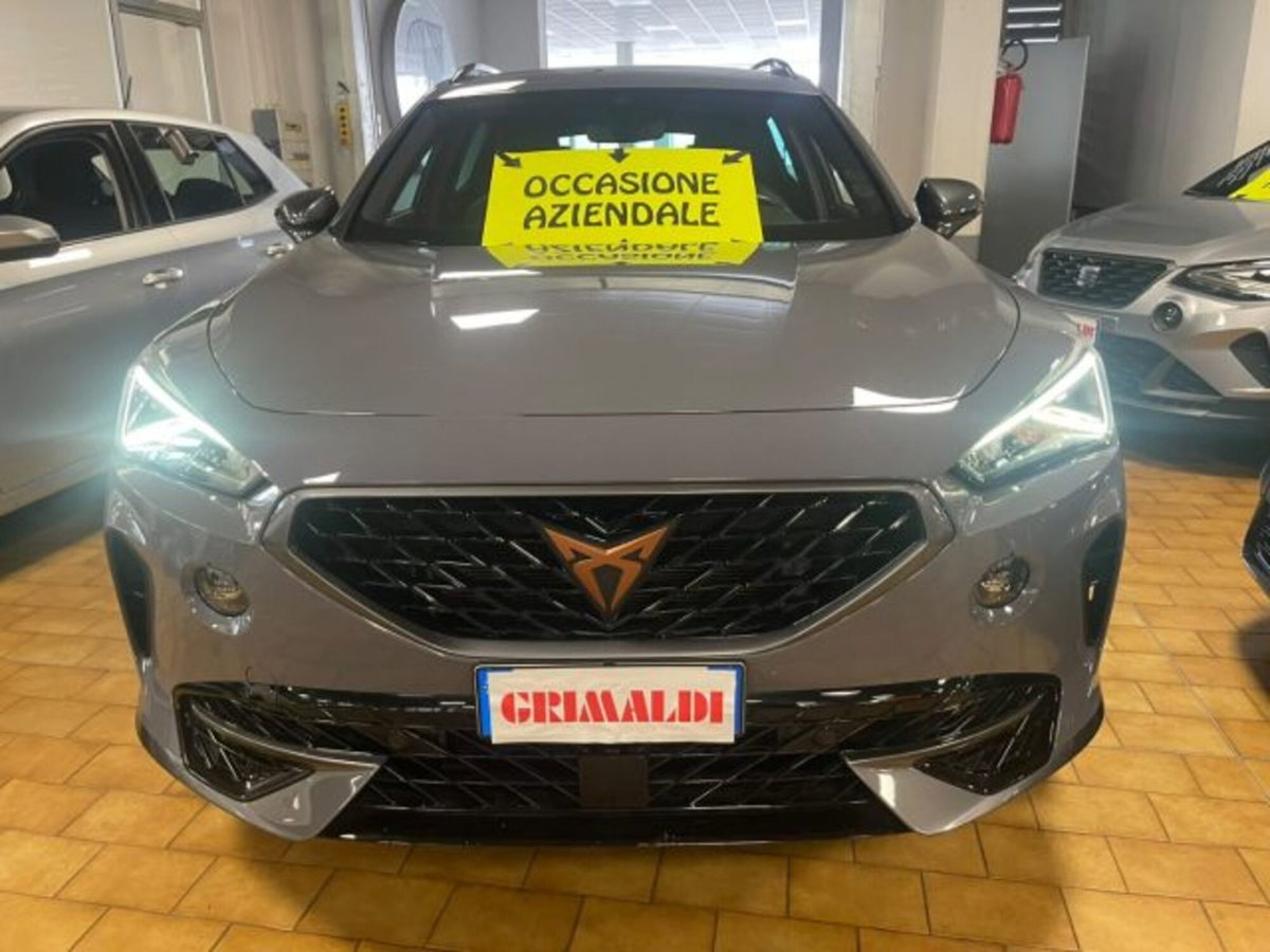 Cupra Formentor Formentor 1.5 TSI (2)
