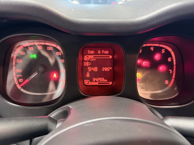 Fiat Panda Cross Cross 1.0 FireFly S&S Hybrid (18)