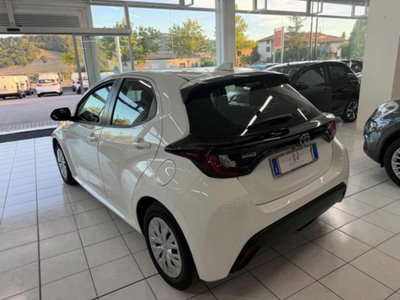 Toyota Yaris 1.5 5 porte Active (3)