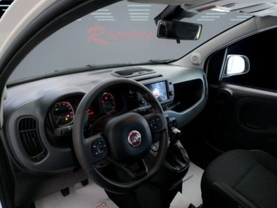 Fiat Panda Cross 1.0 firefly hybrid Cross s&s 70cv 5p.ti (12)