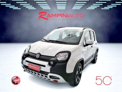 Fiat Panda Cross 1.0 firefly hybrid Cross s&s 70cv 5p.ti (2)