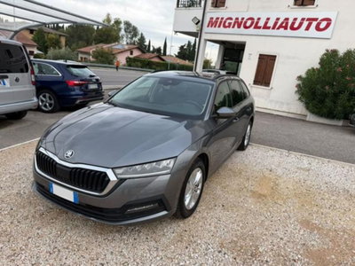 Skoda Octavia Station Wagon 2.0 TDI EVO SCR 150 CV DSG 4x4 Wagon Executive usata