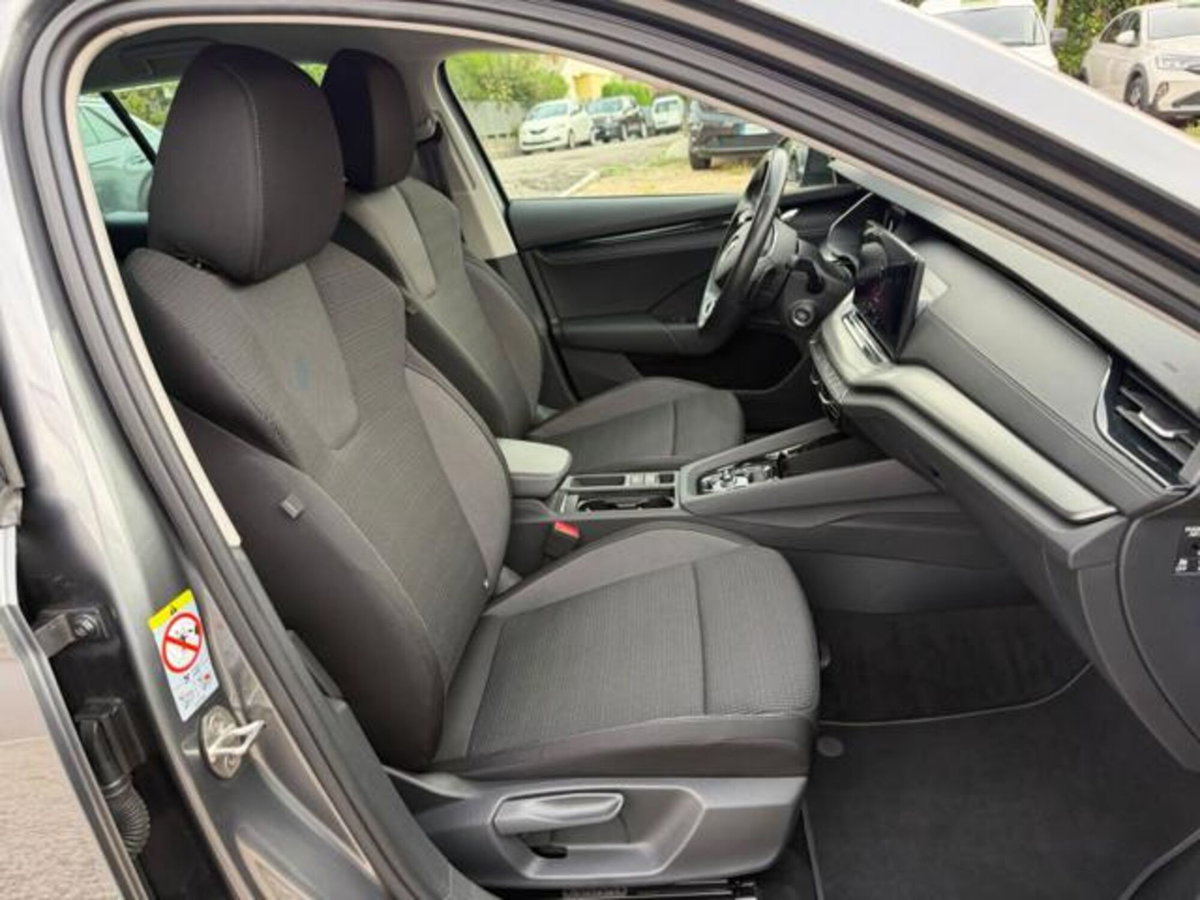 Skoda Octavia Station Wagon 2.0 TDI EVO SCR 150 CV DSG 4x4 Wagon Executive (5)
