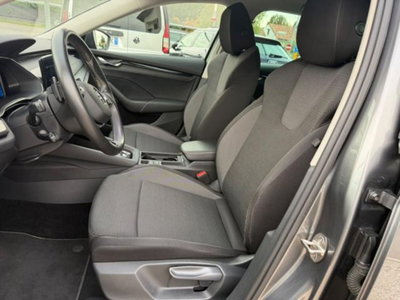 Skoda Octavia Station Wagon 2.0 TDI EVO SCR 150 CV DSG 4x4 Wagon Executive (6)