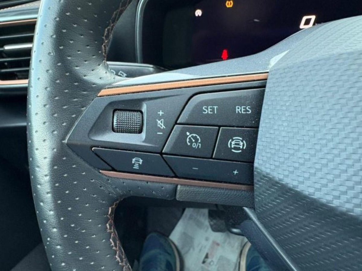 Cupra Formentor Formentor 2.0 TDI (11)