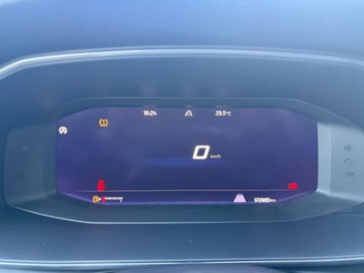 Cupra Formentor Formentor 2.0 TDI (12)