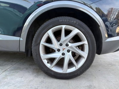 Cupra Formentor Formentor 2.0 TDI (19)