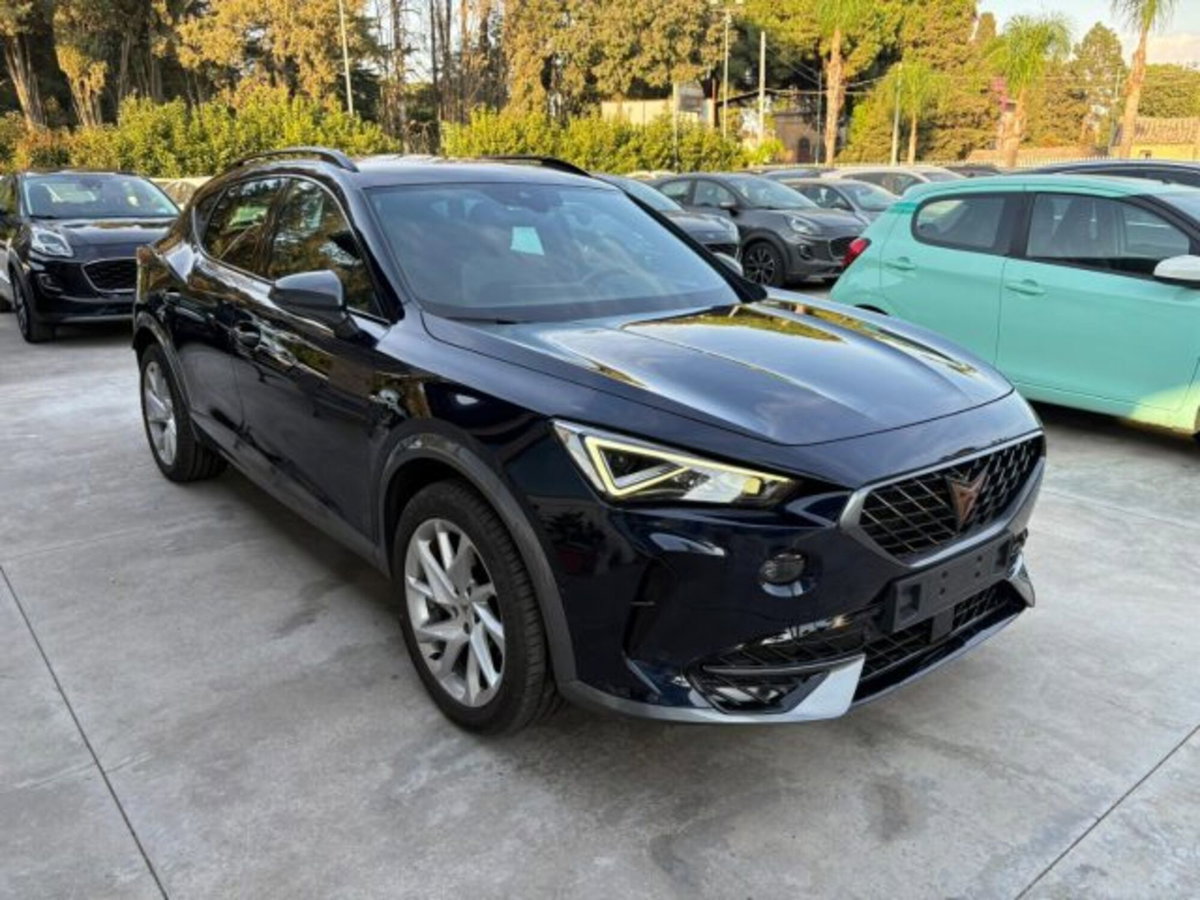 Cupra Formentor Formentor 2.0 TDI (4)