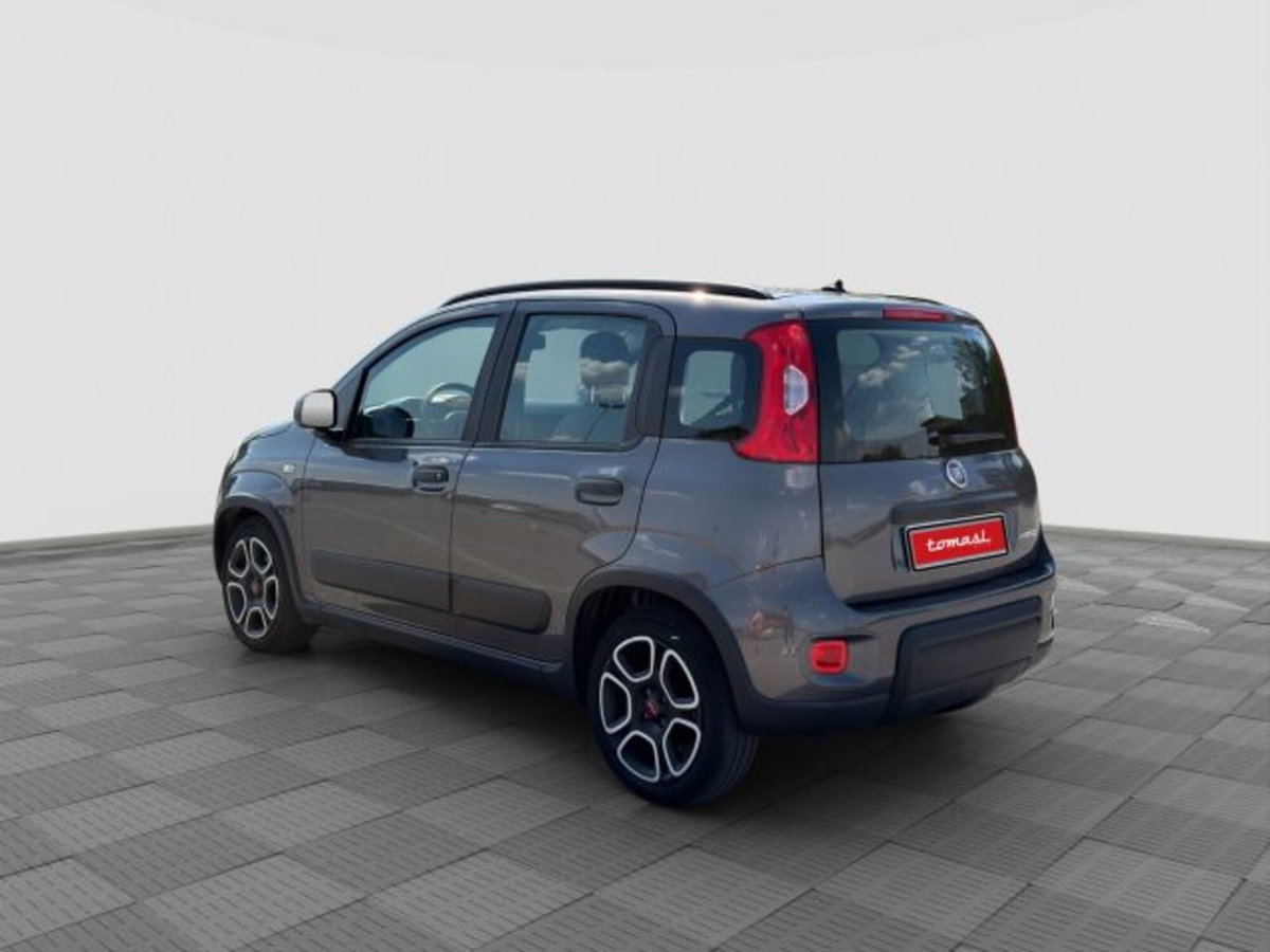 Fiat Panda 1.0 FireFly S&S Hybrid City Cross (3)