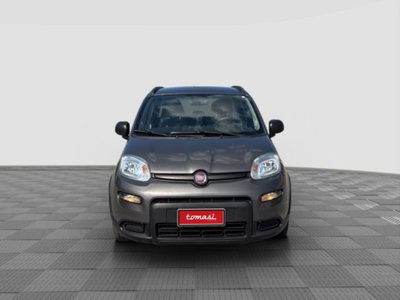 Fiat Panda 1.0 FireFly S&S Hybrid City Cross (8)