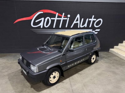 Fiat Panda 1000 4x4 Sisley (5)