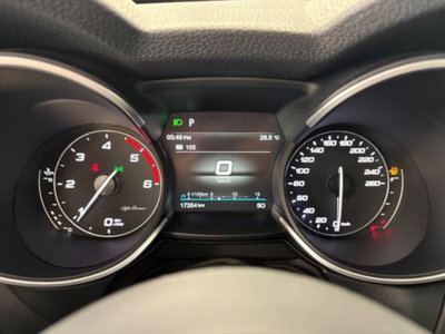 Alfa Romeo Stelvio Stelvio 2.2 Turbodiesel 190 CV AT8 Q4 Super Business (10)