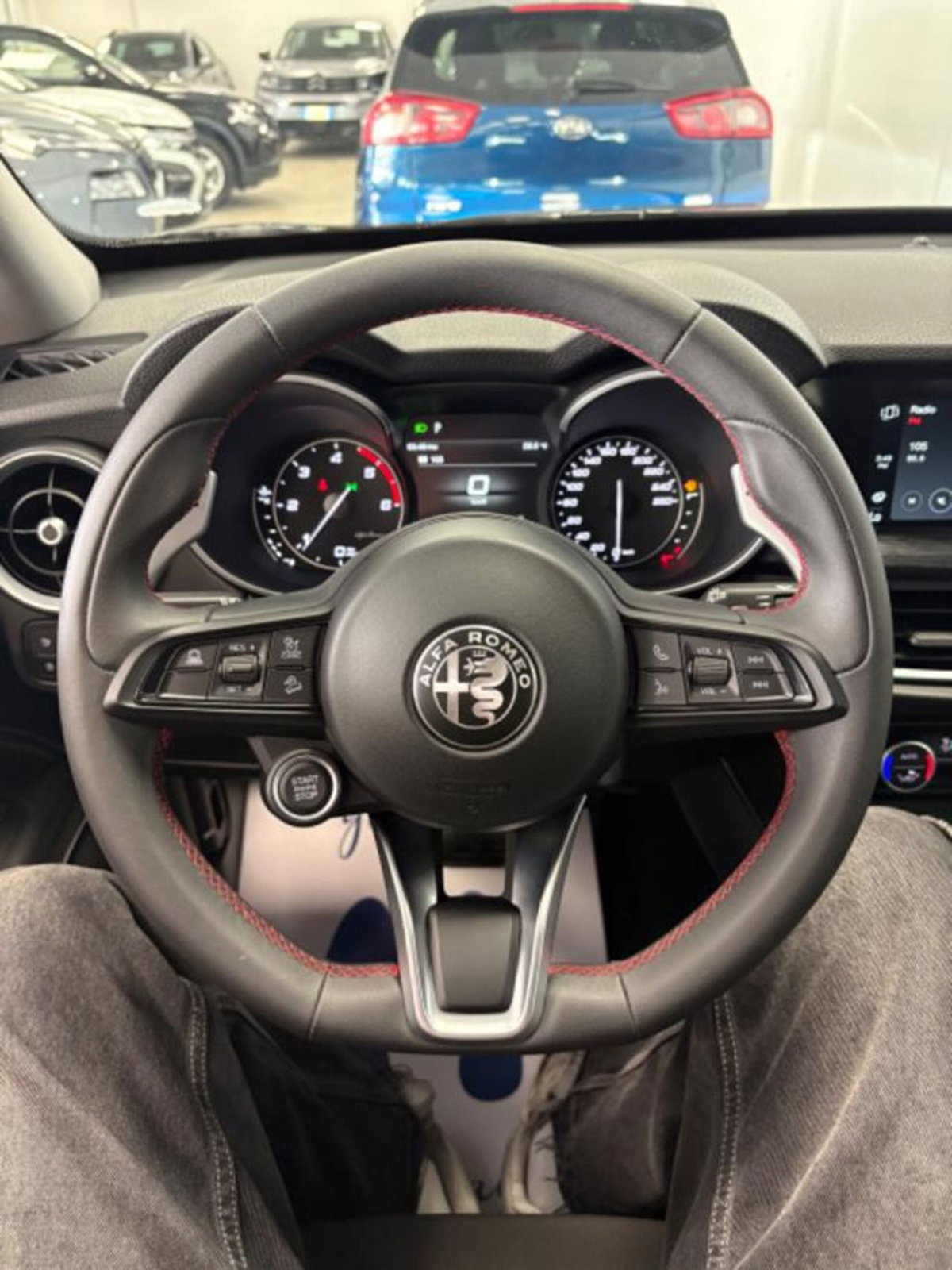 Alfa Romeo Stelvio Stelvio 2.2 Turbodiesel 190 CV AT8 Q4 Super Business (8)