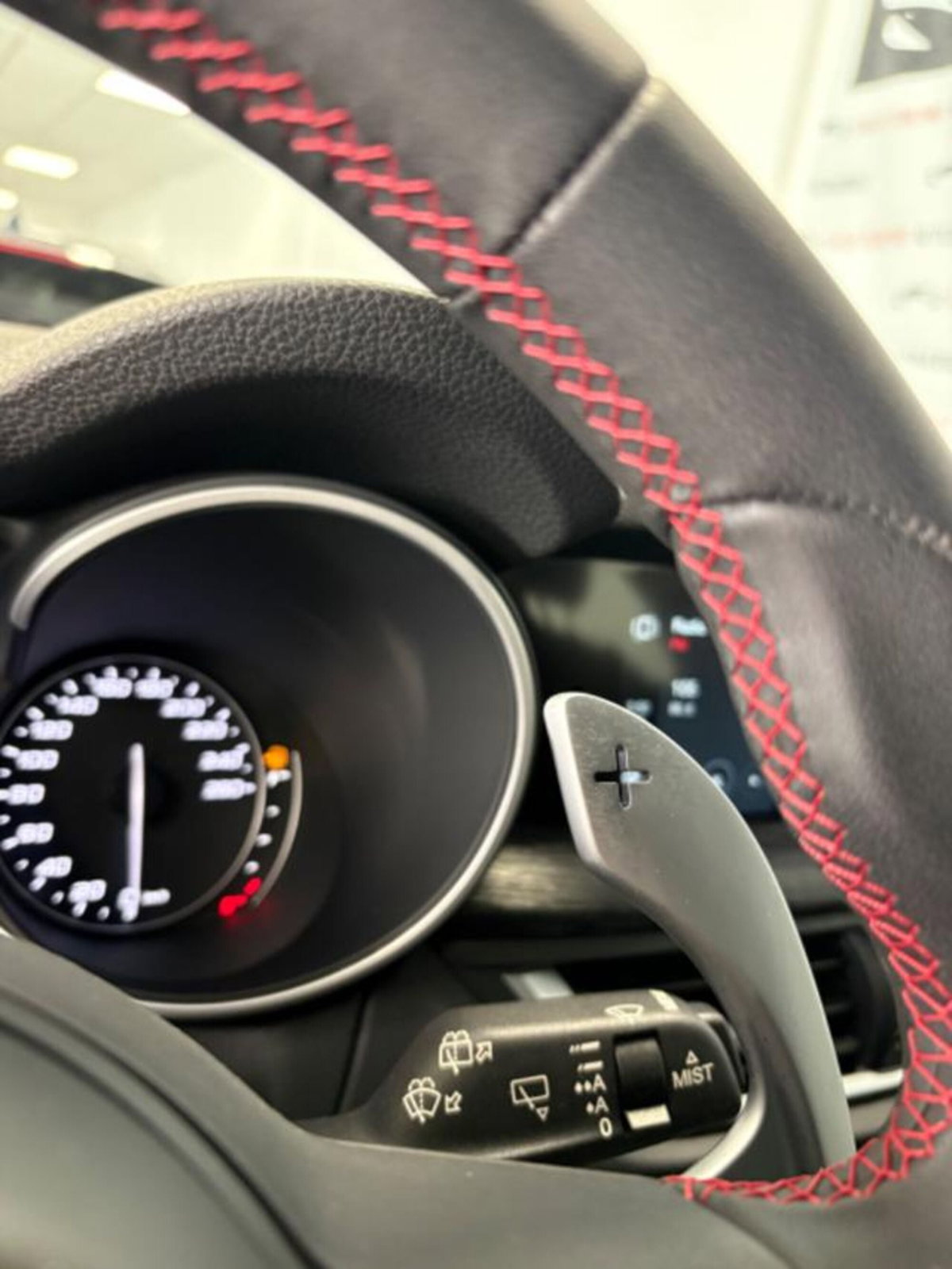 Alfa Romeo Stelvio Stelvio 2.2 Turbodiesel 190 CV AT8 Q4 Super Business (9)