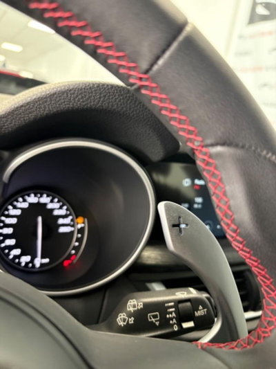 Alfa Romeo Stelvio Stelvio 2.2 Turbodiesel 190 CV AT8 Q4 Super Business (9)
