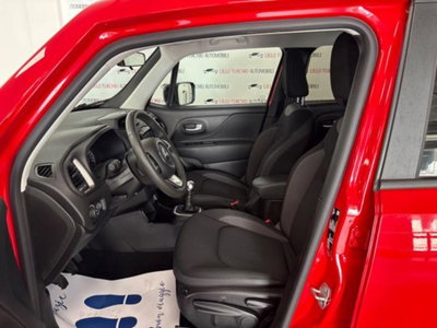 Jeep Renegade 1.6 Mjt 130 CV Limited (8)