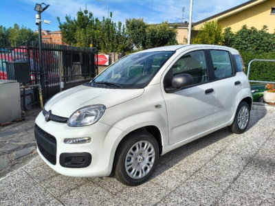 Fiat Panda 1.0 firefly hybrid Icon s&s 70cv nuova
