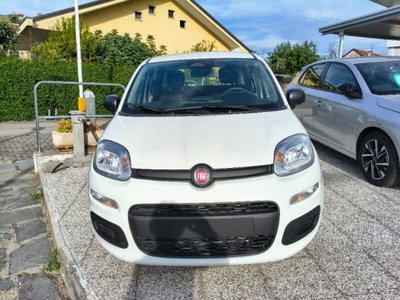 Fiat Panda 1.0 firefly hybrid Icon s&s 70cv (2)