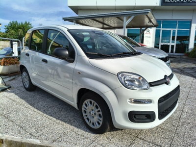 Fiat Panda 1.0 firefly hybrid Icon s&s 70cv (3)