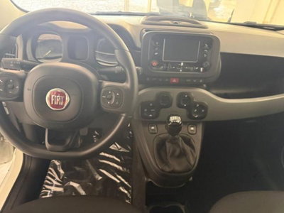 Fiat Panda 1.0 firefly hybrid s&s 70cv 5p.ti (7)