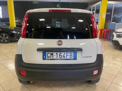 Fiat Panda 1.2 Pop Van 2 posti (4)