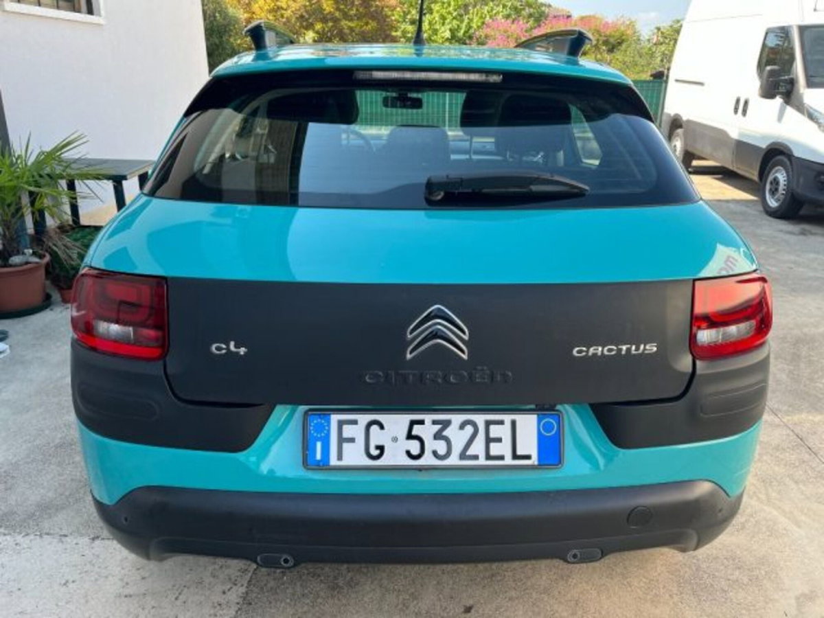 Citroen C4 Cactus BlueHDi 100 S&S ETG6 Shine (5)