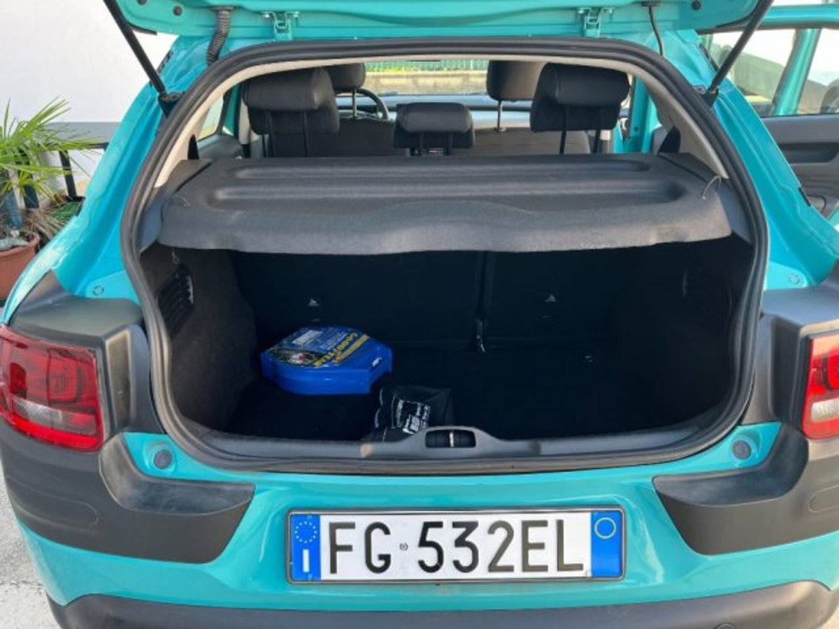 Citroen C4 Cactus BlueHDi 100 S&S ETG6 Shine (8)